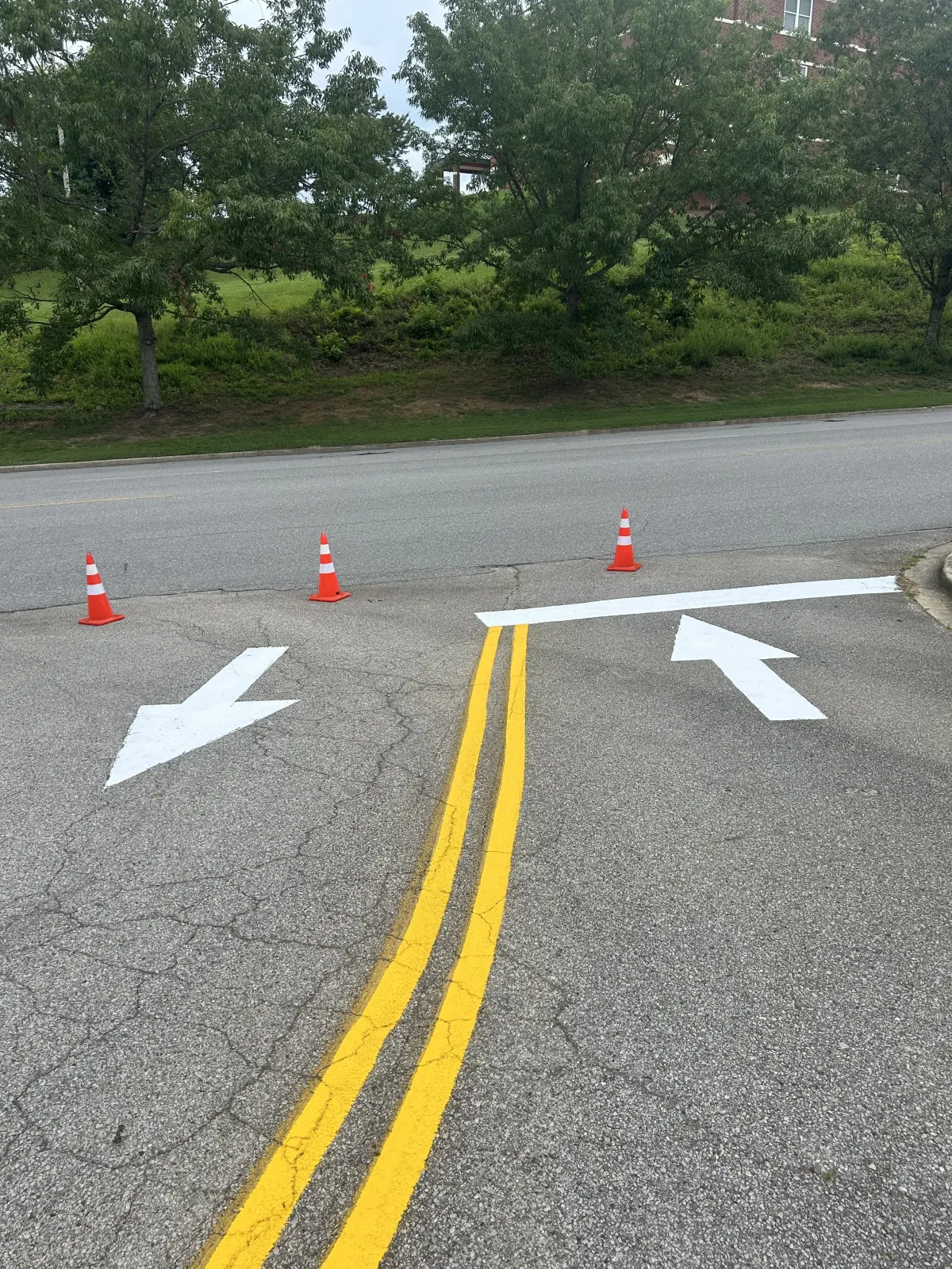 Fresh double yellow centerline and white directional arrows on a campus road